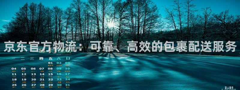 多多28pc预测：京东官方物流：可靠