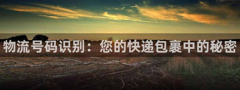多多28app怎么注销：物流号码识别