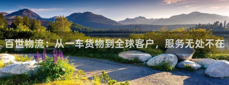 多多28是啥：百世物流：从一车货物到