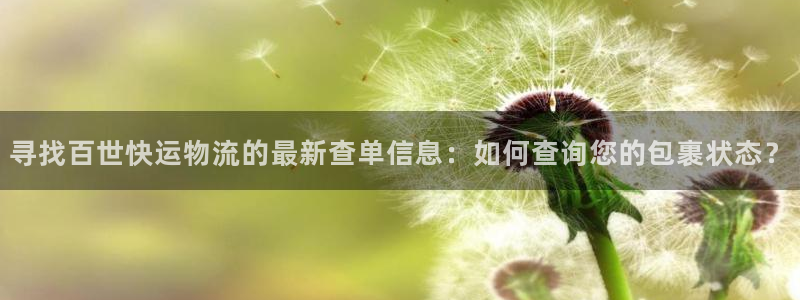 多多28起来的符号：寻找百世快运物流