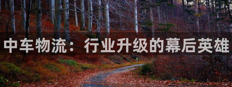 多多28游戏官网版：中车物流：行业升