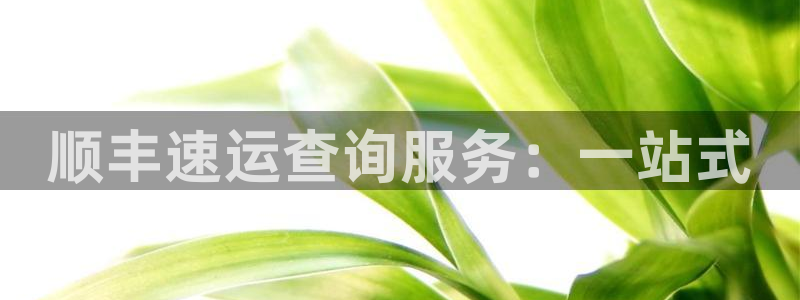 多多28官网下载多少：顺丰速运查询服