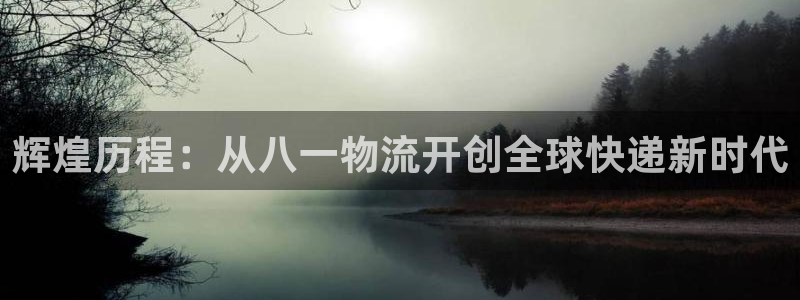 多多28官方官网版：辉煌历程：从八一