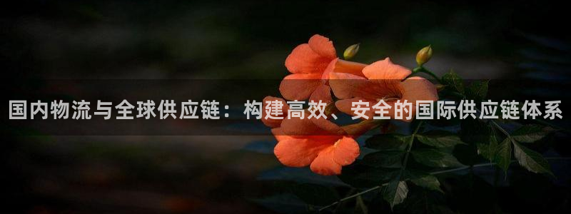 多多28怎么注册账号和密码：国内物流