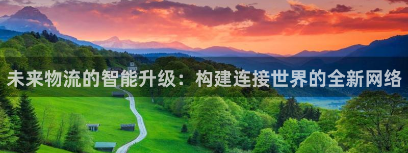 多多28app怎么注销：未来物流的智