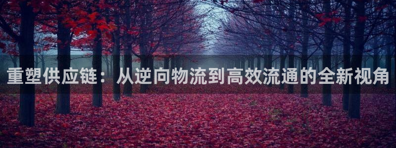 多多28注册登录流程：重塑供应链：从