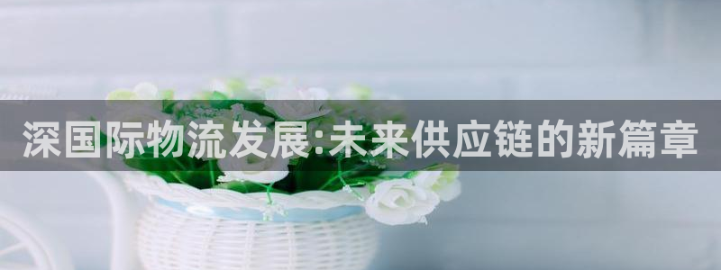 多多28官网下载链接：深国际物流发展