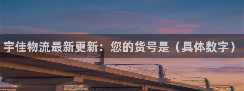 多多28官网预测：宇佳物流最新更新：