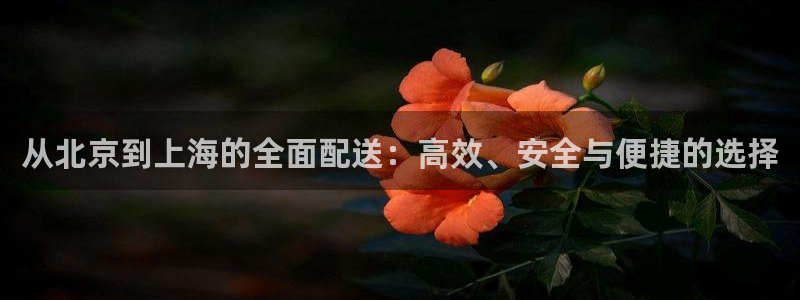 多多28充值金额随便：从北京到上海的
