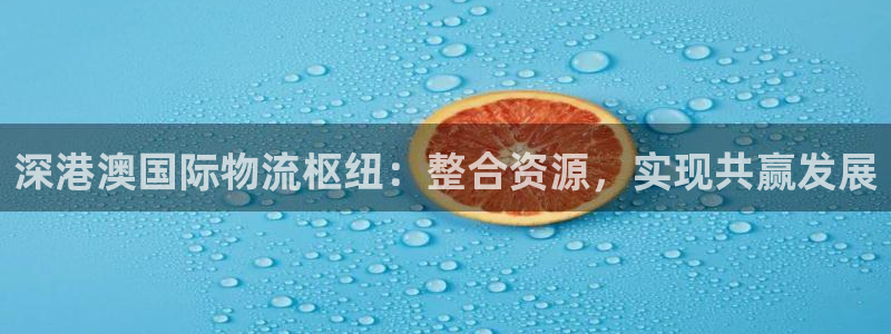 多多28注册步骤：深港澳国际物流枢纽：整合资源，实现共赢发展