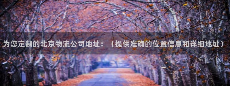 多多28玩法：为您定制的北京物流公司