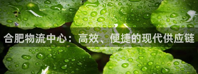 多多28提现未达5期是什么意思：合肥
