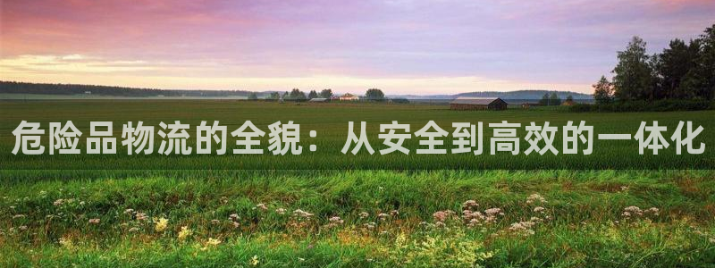 多多28p扣款什么意思：危险品物流的