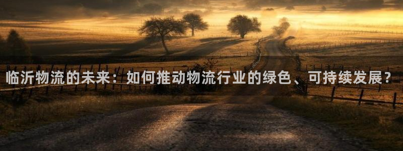 多多28网站平台：临沂物流的未来：如