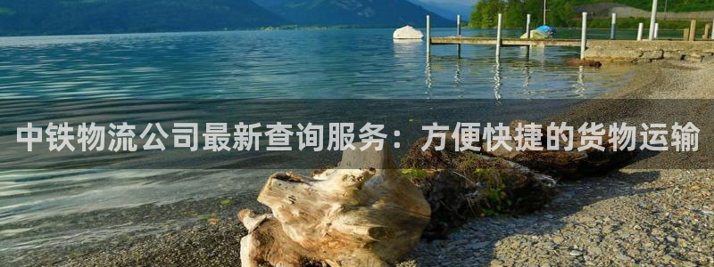 多多28防失联网址：中铁物流公司最新