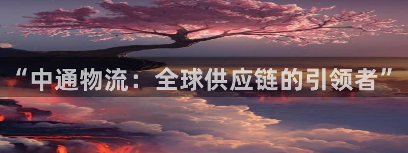 多多28相信品牌的力量