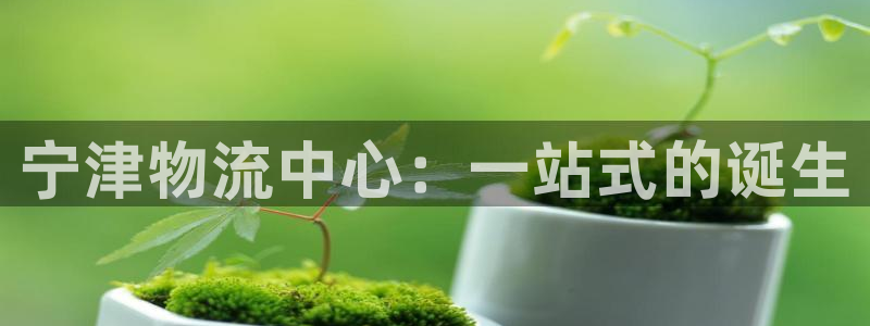 多多28注册条件:宁津物流中心:一站