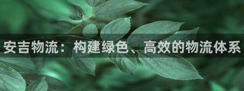 多多28官方网站是多少：安吉物流：构