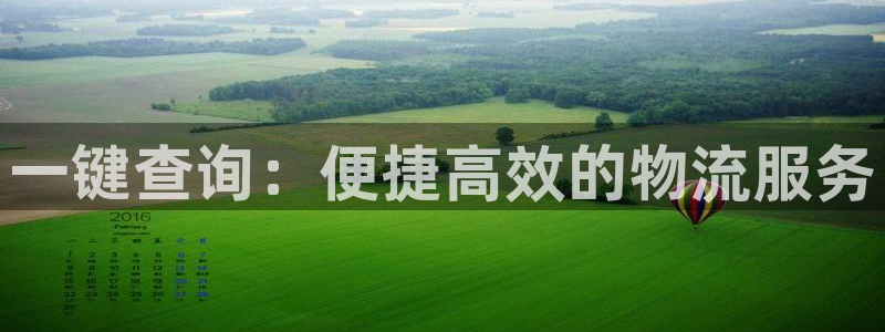 多多28吧:一键查询:便捷高效的物流