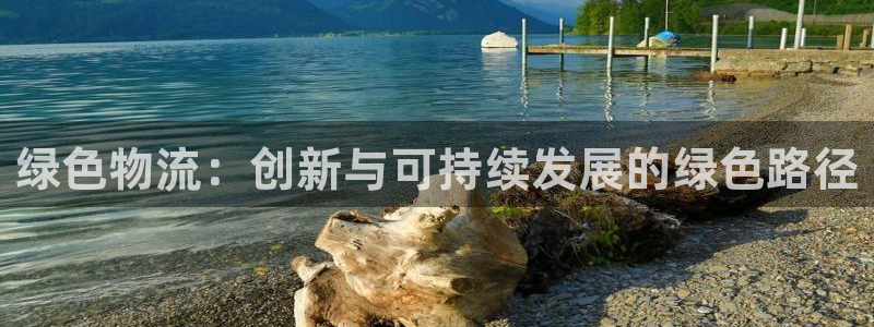 多多28加拿大28:绿色物流:创新与