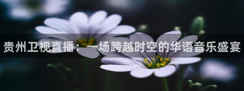 857免费nba在线直播观看