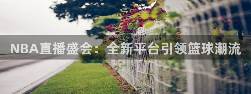 857体育：NBA直播盛会：全新平台引领篮球潮流