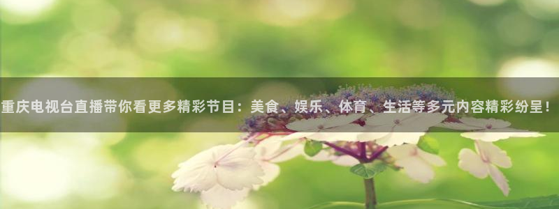 857免费直播体育nba：重庆电视台直播带你看更多精彩节目：美食、娱乐、体育、生活等多元内容精彩纷呈！